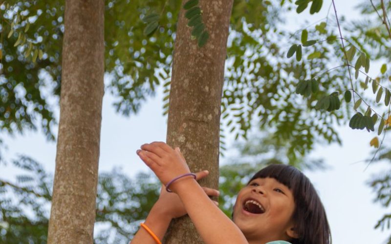 MG_5331-복사본-796x1024